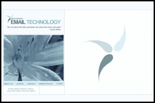 WhiteSpeed Marketing Screenshot...